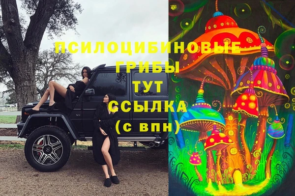 дмт Надым