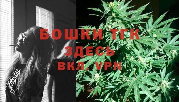 эйфоретик Нея